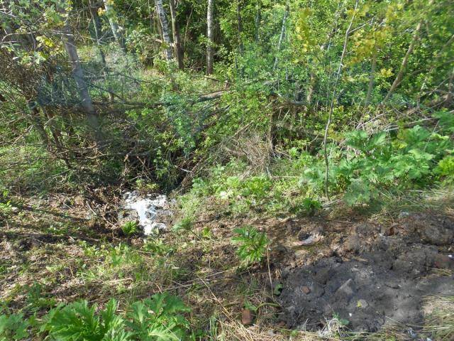 dscn1746.jpg