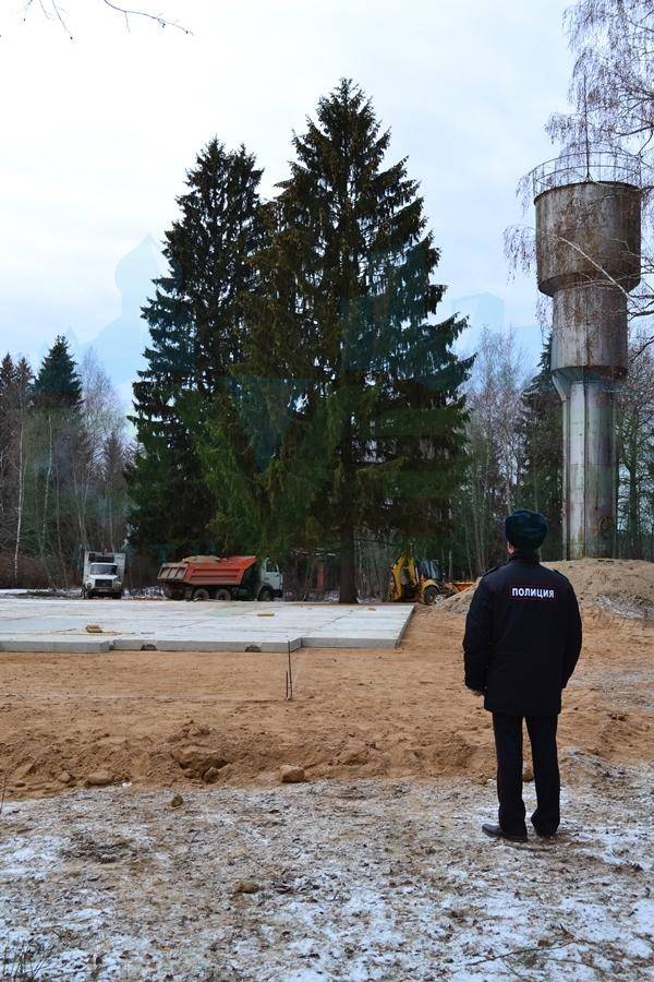 ruza_2_1.jpg